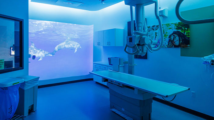 Children&rsquo;s of Alabama lighting sea